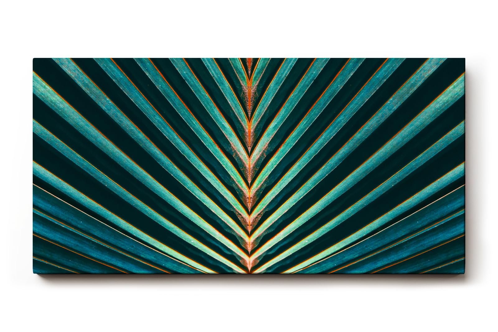 Sinus Art Wandbild 120x80cm Grafisches Palmenblatt mit symmetrischer Form – faszinierender Blickfang