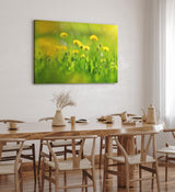 Paul Sinus Wandbild 120x80cm Grüne Wiese Blumen Löwenzahn Wildblumen Sommer