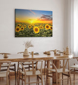 Paul Sinus Wandbild 120x80cm Sonnenblumen Blumenfeld Sonnenblumenfeld Sonne Gelb