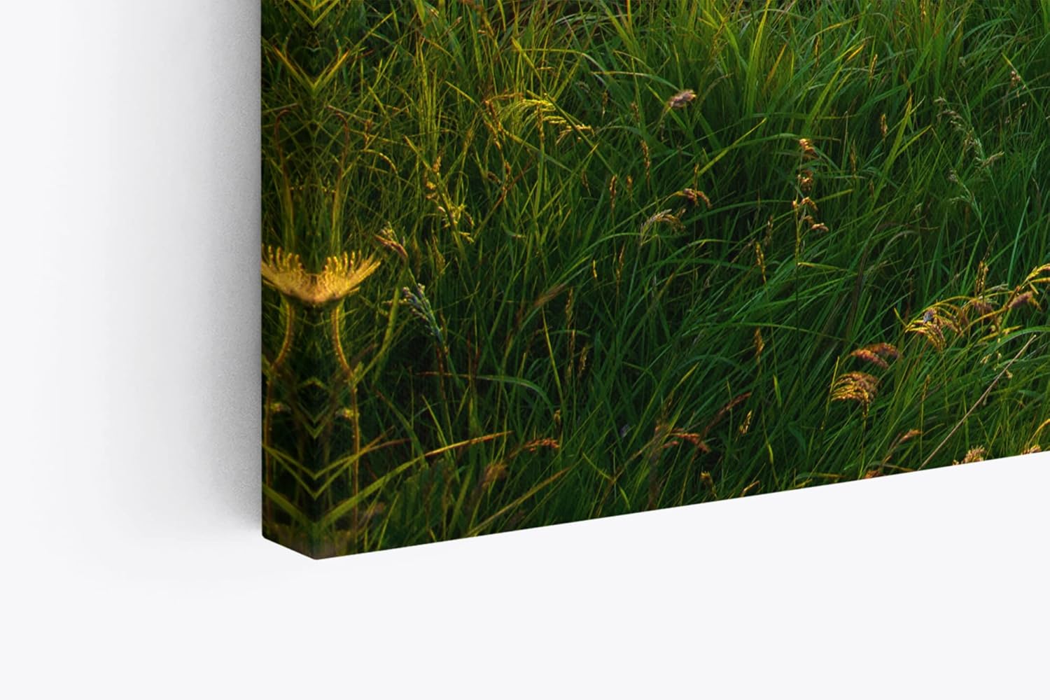 Paul Sinus Wandbild 120x80cm Alpenlandschaft Berge Wiesen Sonnenuntergang Natur