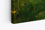Paul Sinus Wandbild 120x80cm Alpenlandschaft Berge Wiesen Sonnenuntergang Natur