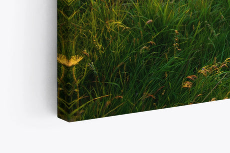 Paul Sinus Wandbild 120x80cm Alpenlandschaft Berge Wiesen Sonnenuntergang Natur