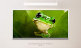 Frosch hinter Blättern ca. 130x70cm Wandbild inklusive Schattenfugenrahmen weiss - Panorama Leinwand Bild XXL Format Wandbilder Wohnzimmer Wohnung Deko Kunstdrucke