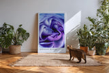 Paul Sinus Kunstdruck 40x60cm Blume Makro Blau Lila Rose Dunkelheit Lichtspiel Midnight Bloom