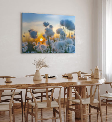 Paul Sinus Wandbild 120x80cm Baumwollblüten Sonnenuntergang Abendröte Sommer Natur