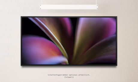 Pflanzen und Blumen ca. 130x70cm Wandbild inklusive Schattenfugenrahmen schwarz - Panorama Leinwand Bild XXL Format Wandbilder Wohnzimmer Wohnung Deko Kunstdrucke