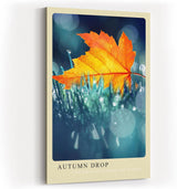 Paul Sinus Kunstdruck 40x60cm Autumn Drop Ahornblatt Wassertropfen Bokeh Makro Kunst Natur