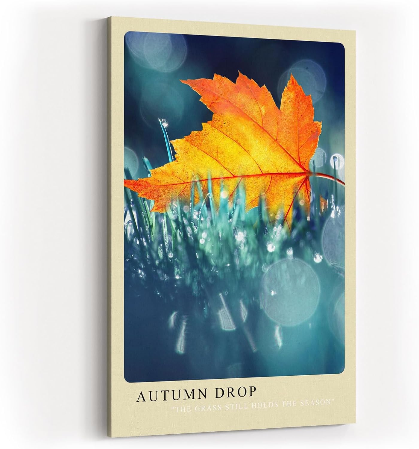 Paul Sinus Kunstdruck 40x60cm Autumn Drop Ahornblatt Wassertropfen Bokeh Makro Kunst Natur