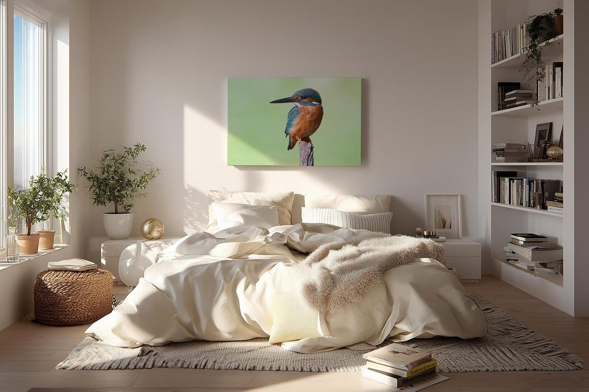 Sinus Art Wandbild 120x80cm Leuchtend blauer Eisvogel auf Ast vor ruhigem Hintergrund – naturgetreue Darstellung