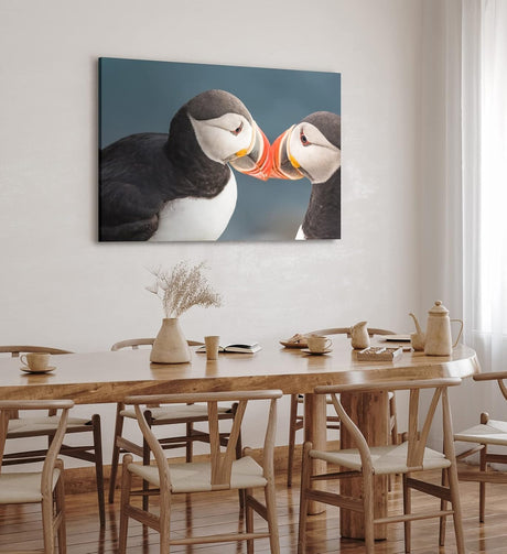 Wandbild 120x80cm Papageitaucher Pärchen Liebespärchen Tierfotografie