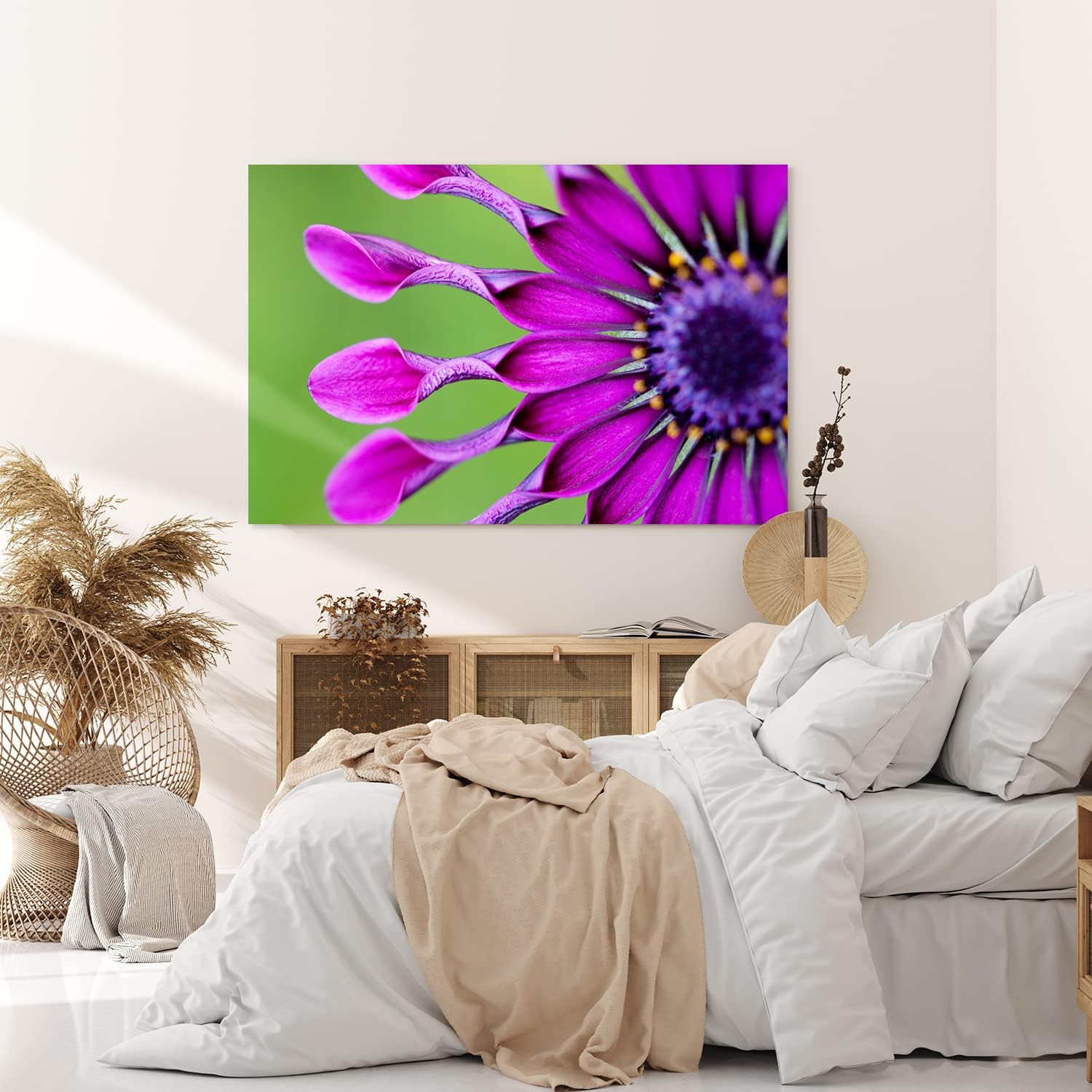Paul Sinus Wandbild 120x80cm Blume Blüte Violett Kapkörbchen Sommer Nahaufnahme
