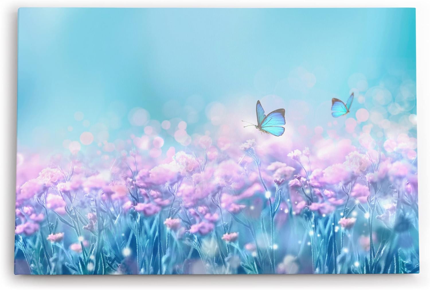 Paul Sinus Wandbild 120x80cm Schmetterling Wiese Blau Frühling Sommerwiese Fotokunst