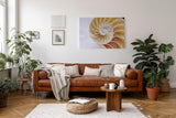 Sinus Art Wandbild 120x80cm Spiralförmige Nautilus-Schale in sanften Beige- und Perlmutttönen