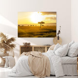 Paul Sinus Wandbild 120x80cm Afrikanische Landschaft Burkea Africana Bäume Sonnenuntergang