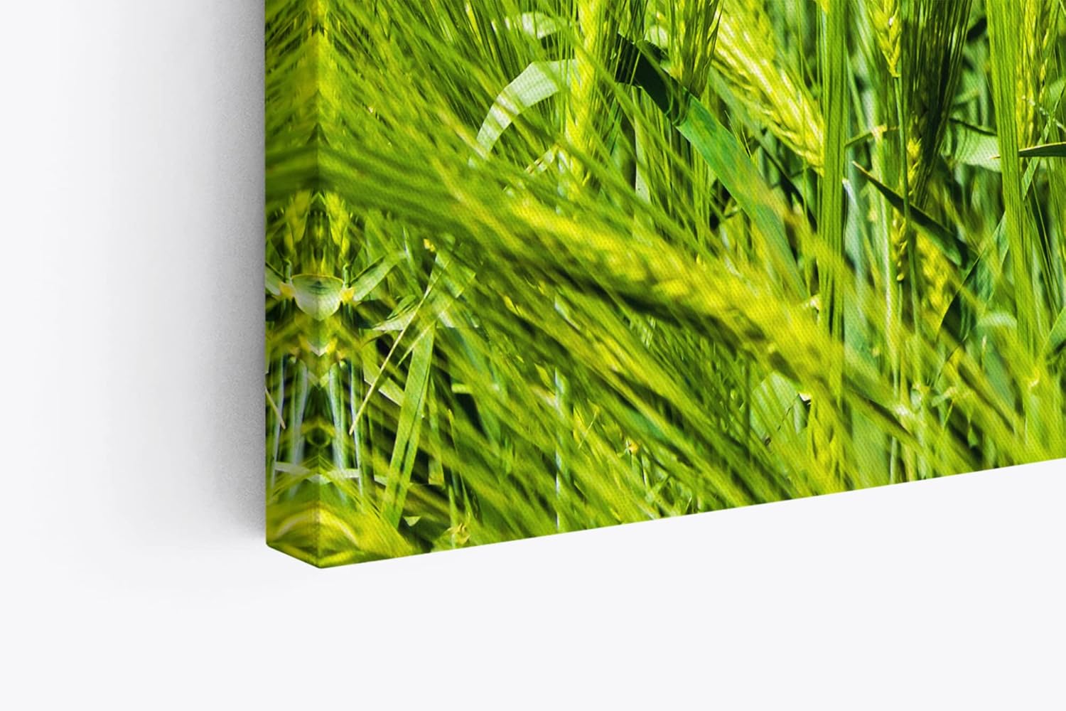 Paul Sinus Wandbild 120x80cm Weizenfeld Weizen Sommer blauer Himmel Natur