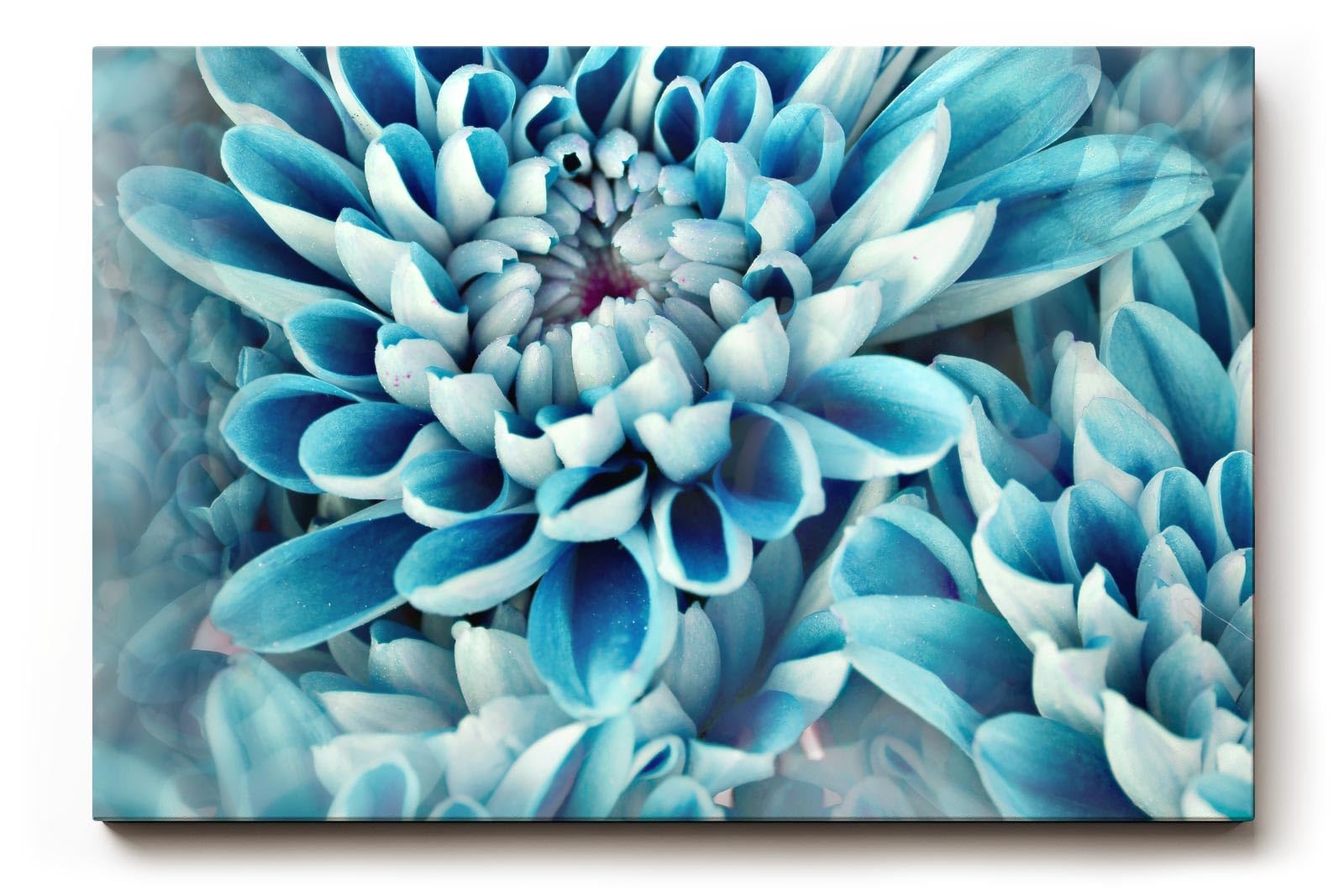 Sinus Art Wandbild 120x80cm Blütenpracht in kühlem Blau – faszinierende Komposition mit beruhigender Ausstrahlung
