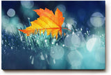 Sinus Art Wandbild 120x80cm Einzelnes orangefarbenes Ahornblatt im feuchten Gras mit Tautropfen und Lichtpunkten