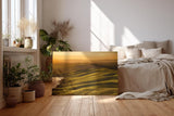 Sinus Art Wandbild 120x80cm Wellenartige Hügel im goldenen Licht der untergehenden Sonne mit weitem Horizont