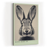 Paul Sinus Wandbild in 40x60cm Bunny Mode: On – Humorvolles Kaninchenporträt in Schwarz-Weiß mit neugierigem Blick