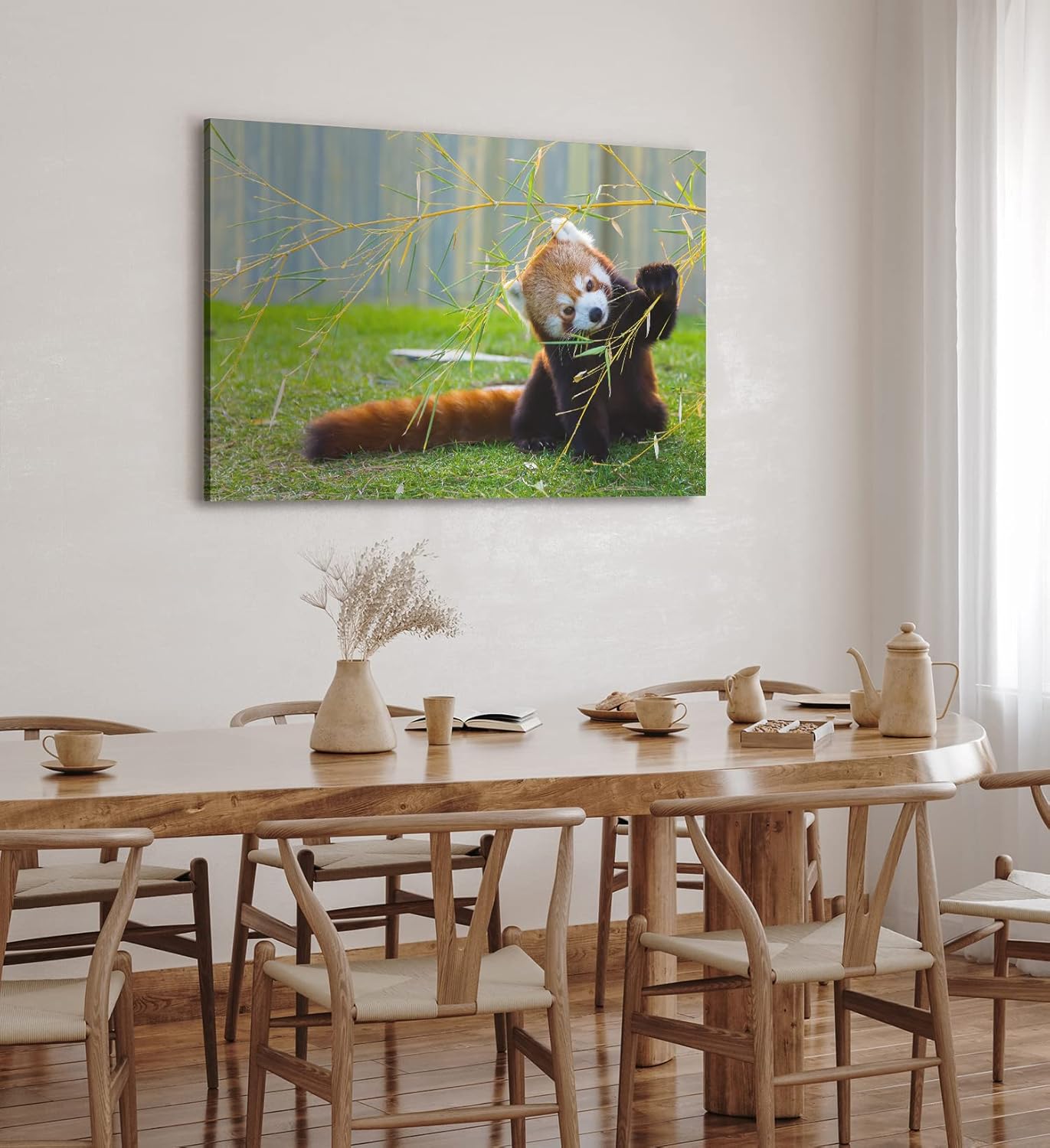 Paul Sinus Wandbild 120x80cm Kleiner roter Panda Tierfotografie Süß Flauschig