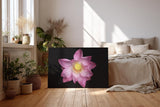 Sinus Art Wandbild 120x80cm Die rosa Blütenblätter vor schwarzem Hintergrund wirken edel, klar und meditativ