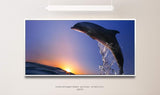 Delfin im Meer mit Wellen ca. 130x70cm Wandbild inklusive Schattenfugenrahmen weiss - Panorama Leinwand Bild XXL Format Wandbilder Wohnzimmer Wohnung Deko Kunstdrucke