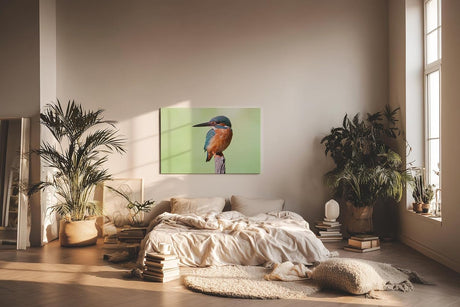 Sinus Art Wandbild 120x80cm Leuchtend blauer Eisvogel auf Ast vor ruhigem Hintergrund – naturgetreue Darstellung