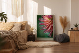 Paul Sinus Wandbild in 40x60cm Droplets and Delicacy – elegante Nahaufnahme einer pink-orangefarbenen Blüte mit Wassertropfen für stilvolle Wohnakzente