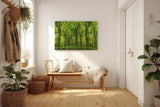 Sinus Art Wandbild 120x80cm Dichte Baumreihen und leuchtendes Laub schaffen eine friedliche, harmonische Stimmung