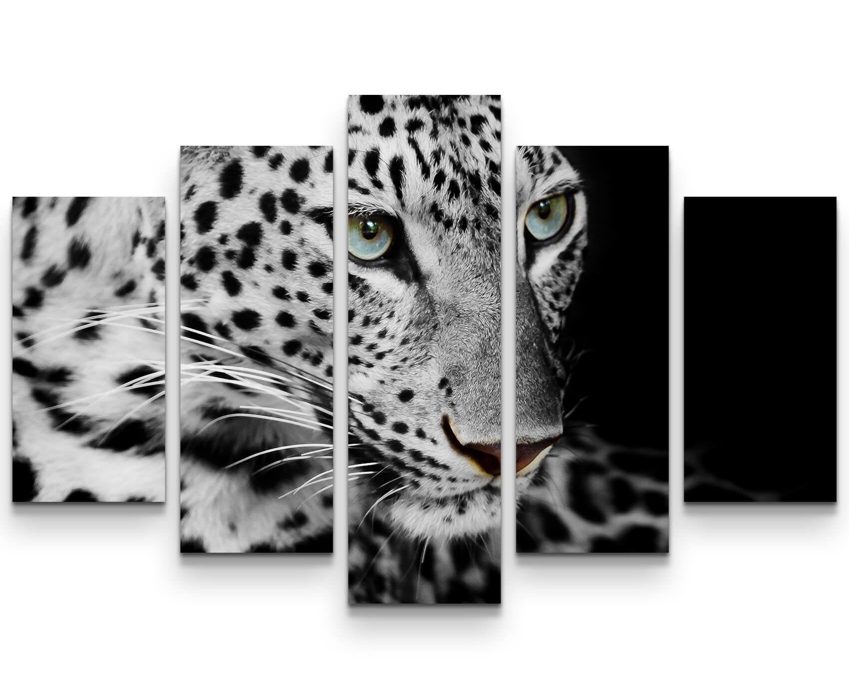 Paul Sinus Art Leinwandbilder | Bilder Leinwand 60x60cm Portrait eines liegenden Leoparden schwarzweiß