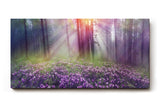 Sinus Art Wandbild 120x80cm Die lila Krokusse im Vordergrund und das Lichtspiel im Wald erzeugen eine zauberhafte Atmosphäre