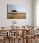 Paul Sinus Wandbild 120x80cm Afrikanische Landschaft Burkea Africana Bäume Steppe