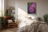 Paul Sinus Wandbild in 40x60cm Petals of the Morning – zarte Nahaufnahme einer pink-violetten Blüte mit Tautropfen für frische Raumakzente