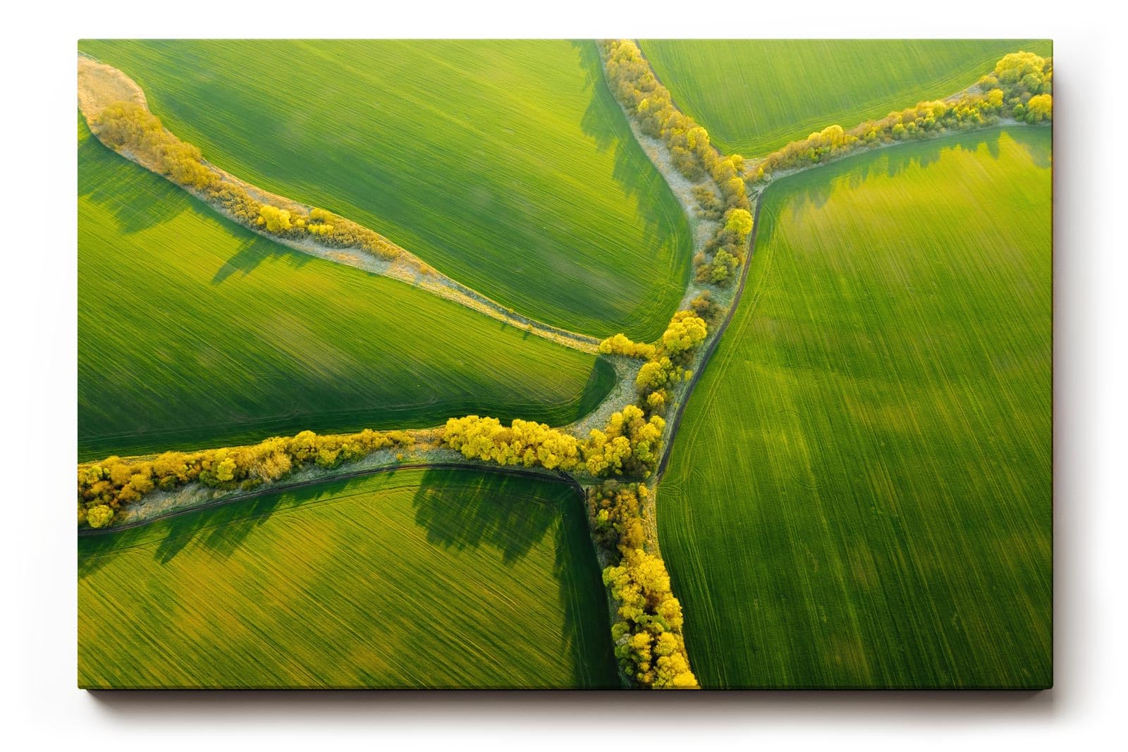 Sinus Art Wandbild 120x80cm Atemberaubende Luftaufnahme mit geometrisch verlaufenden Baumreihen auf sattem Grün