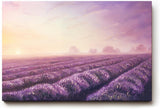 Sinus Art Wandbild 120x80cm Friedliche Landschaft mit Lavendelreihen und weichem Abendlicht für stimmungsvolle Atmosphäre