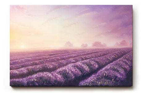 Sinus Art Wandbild 120x80cm Friedliche Landschaft mit Lavendelreihen und weichem Abendlicht für stimmungsvolle Atmosphäre