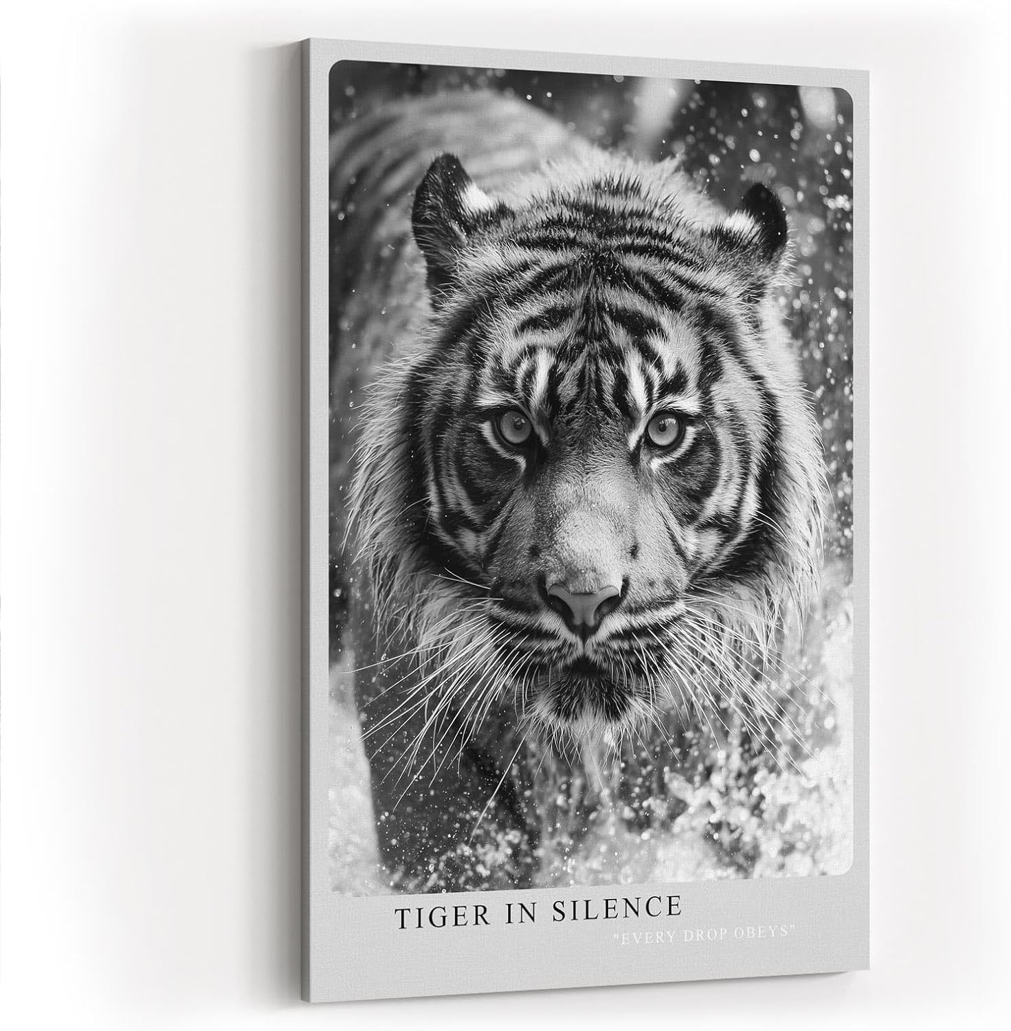 Paul Sinus Wandbild in 40x60cm Tiger in Silence – Ausdrucksstarkes Schwarz-Weiß-Porträt eines Tigers im Wasser