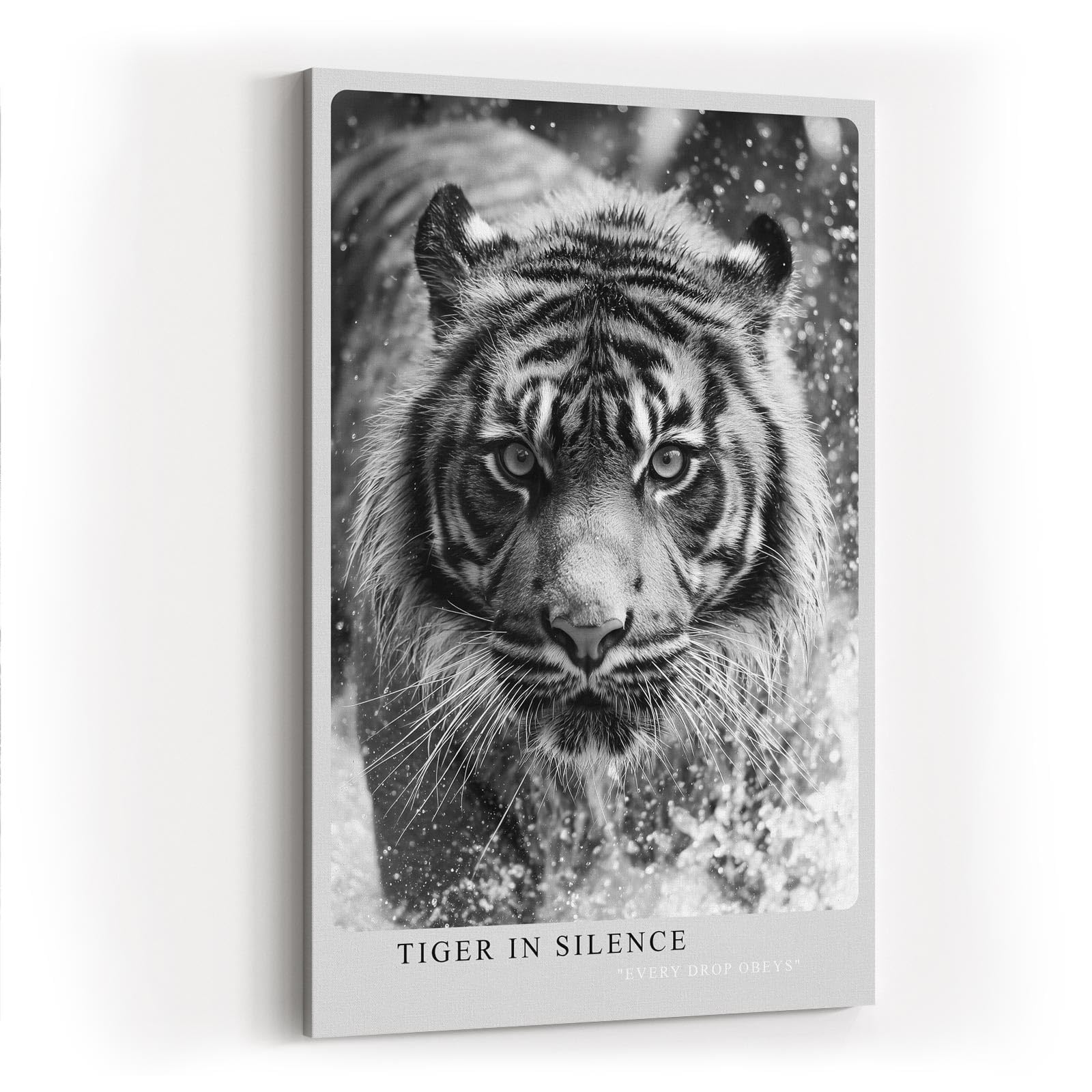 Paul Sinus Wandbild in 40x60cm Tiger in Silence – Ausdrucksstarkes Schwarz-Weiß-Porträt eines Tigers im Wasser