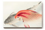 Sinus Art Wandbild 120x80cm Zwei Koi-Fische in traditioneller japanischer Darstellungsweise als Symbol für Harmonie und Ruhe