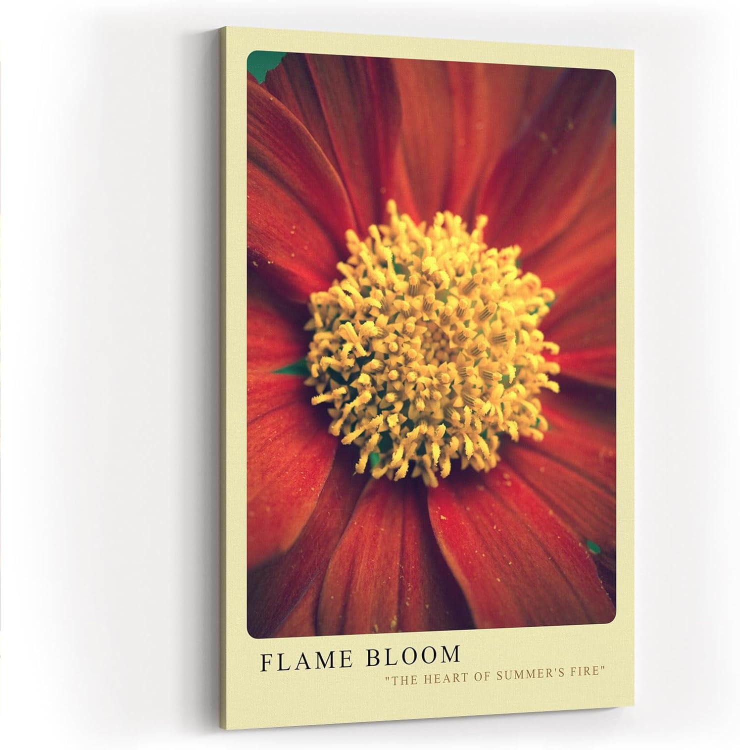 Paul Sinus Kunstdruck 40x60cm Flame Bloom – Sommerliche Blütenkraft in Nahaufnahme