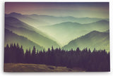 Paul Sinus Wandbild 120x80cm Berglandschaft Tannenwald Berge Natur Landschaft Bäume