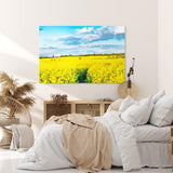 Paul Sinus Wandbild 120x80cm Rapsfeld Raps Landschaft Gelb Himmel Sommer