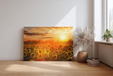 Sinus Art Wandbild 120x80cm Feld voller Sonnenblumen im goldenen Licht eines spektakulären Sonnenuntergangs