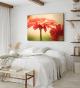 Paul Sinus Wandbild 120x80cm Gerbera Blume Blüte Rot Nahaufnahme Kunstvoll Tropfen