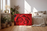 Sinus Art Wandbild 120x80cm Detailreiche Nahaufnahme einer geöffneten roten Rose mit sanft geschwungenen Blütenblättern