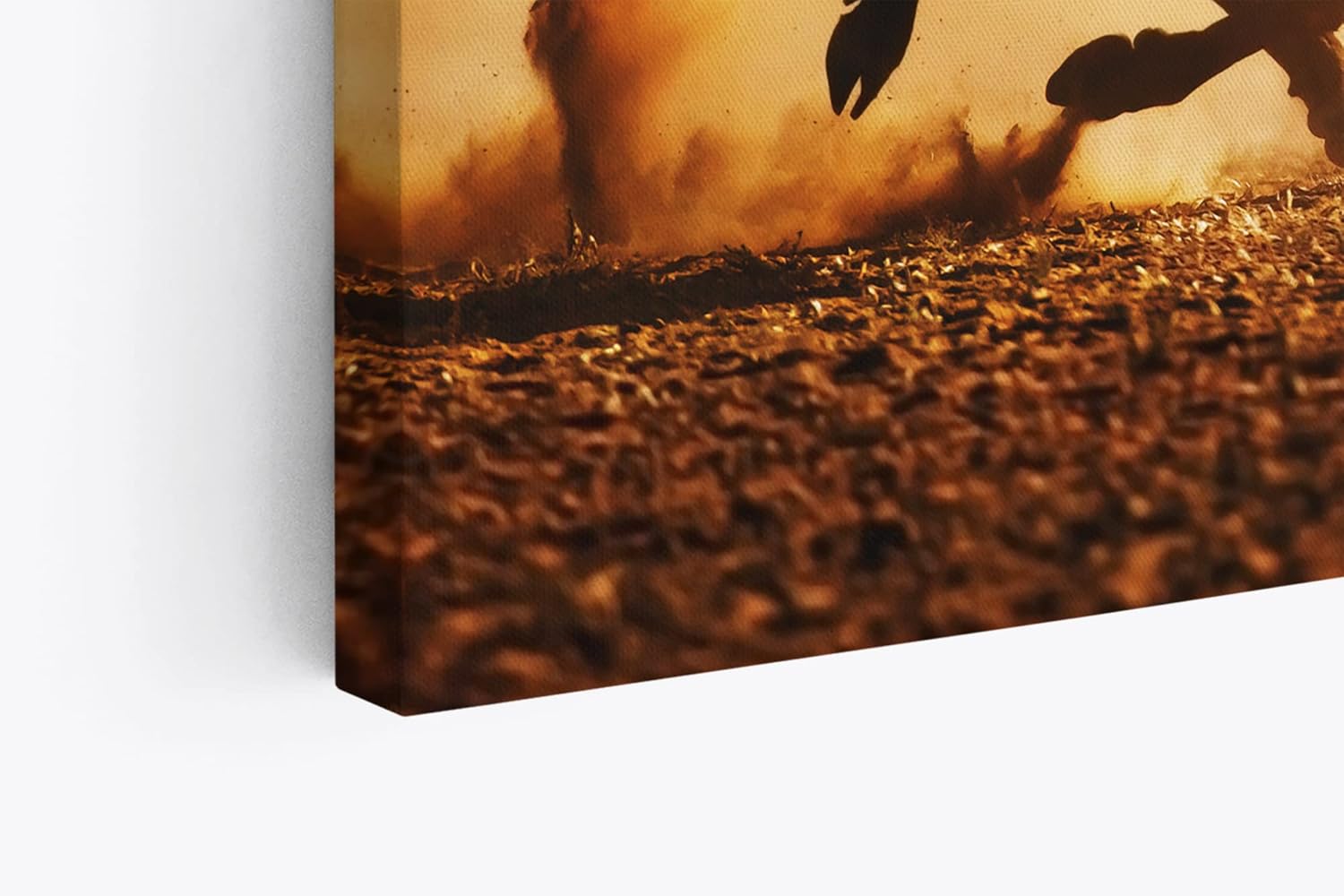 Paul Sinus Wandbild 120x80cm Gnu Antilope Afrika Wildnis Tierfotografie Bulle