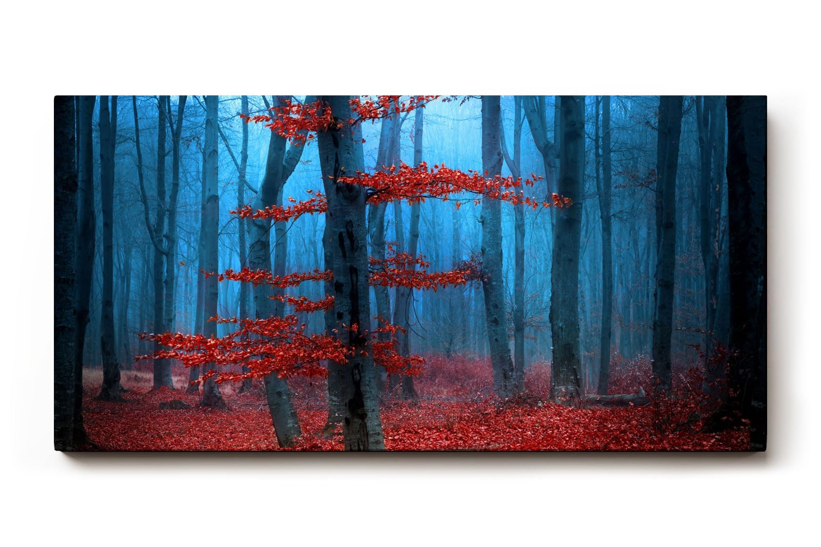 Sinus Art Wandbild 120x80cm Roter Baum vor blauem Nebel – geheimnisvoll, künstlerisch und emotional wirkungsvoll