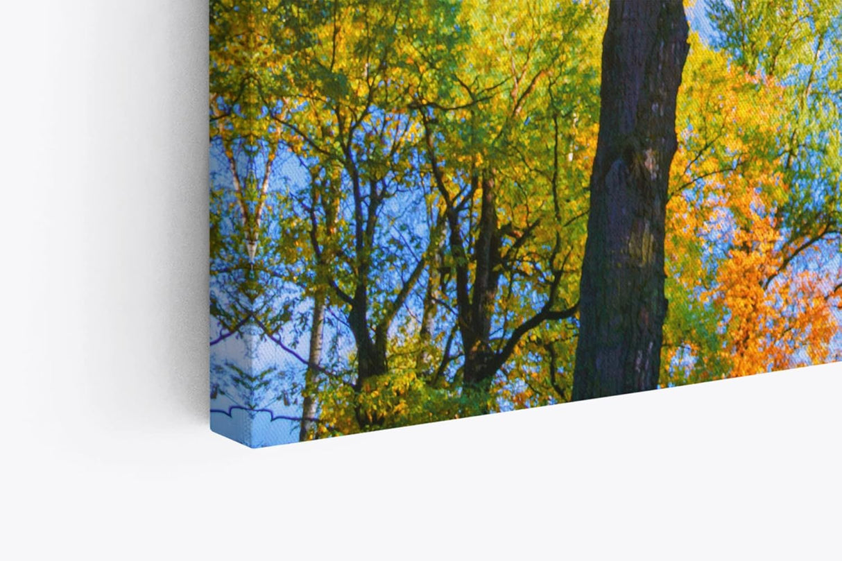 Paul Sinus Wandbild 120x80cm Herbstblätter Herbst blauer Himmel Baumkrone