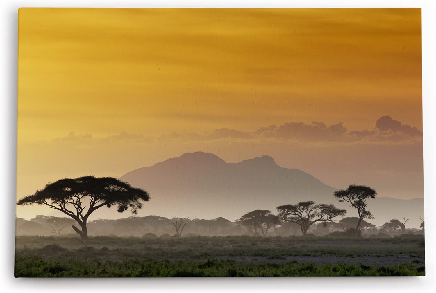 Paul Sinus Wandbild 120x80cm Afrika Mount Kenya Burkea Bäume Wildnis Abenddämmerung