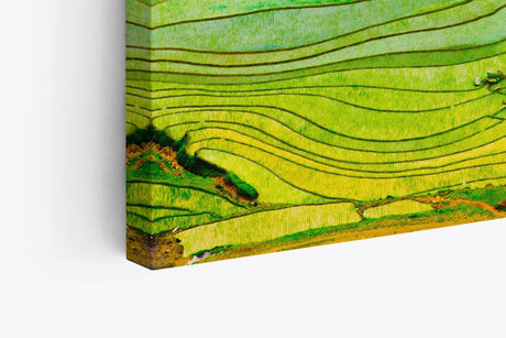 Paul Sinus Wandbild 120x80cm Reisfelder Reisanbau Grün Thailand Asien Landschaftsbild